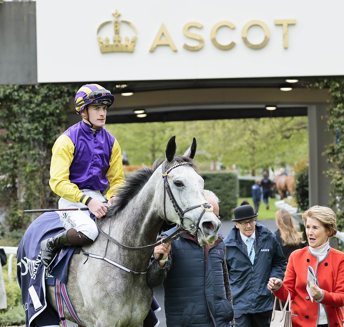 RacingPost's tweet photo. Princess Zoe is an Ascot winner 💜💛 https://t.co/wOqOYjTus9