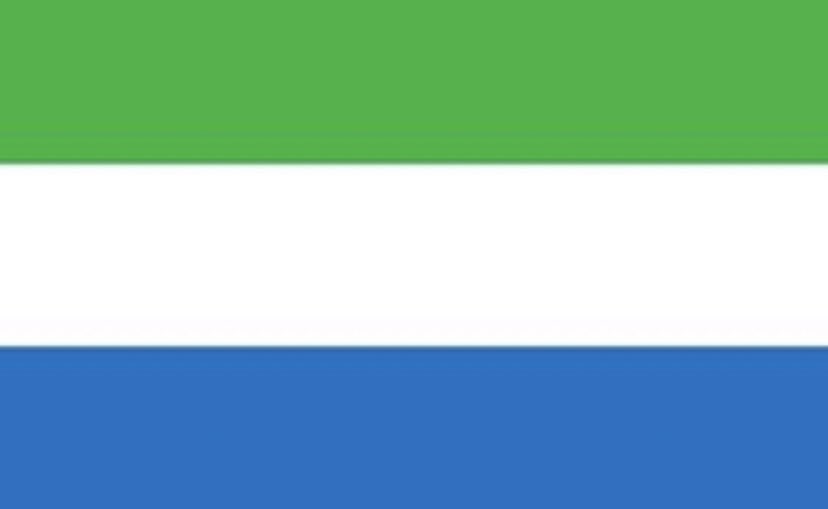 FSJOSIAH3's tweet image. The flag                        The faces