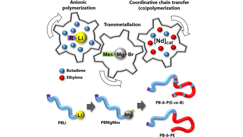 angew_chem's tweet photo. Switch from Anionic Polymerization to Coordinative Chain Transfer Polymerization: A Valuable Strategy to Make Olefin Block Copolymers @BoissonCris @cp2m_lab https://t.co/QBVQem2HJb https://t.co/1xqvscSwz0