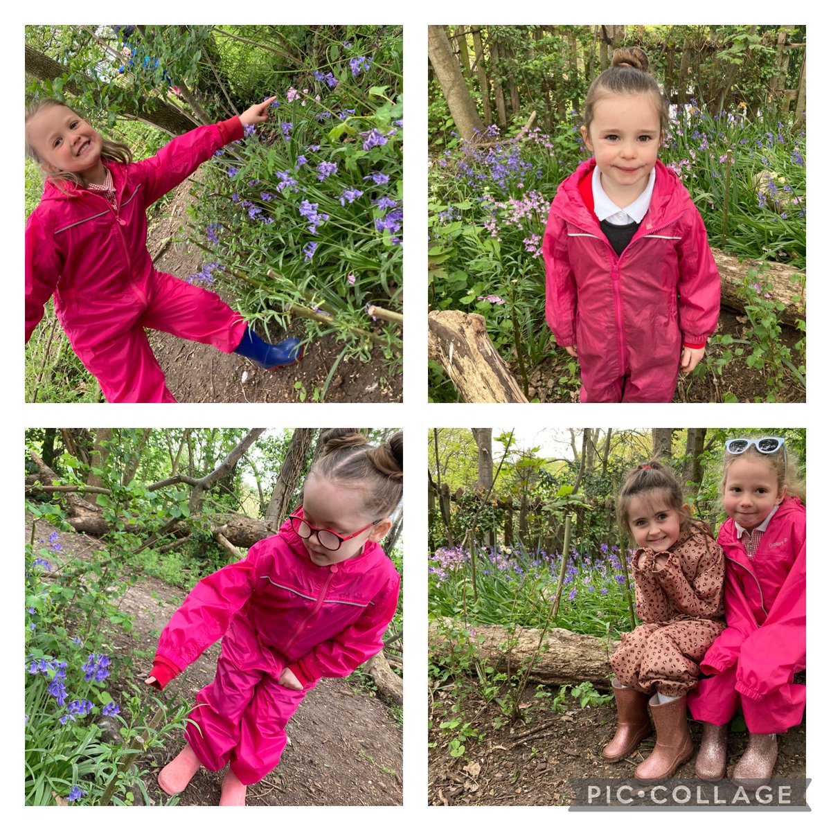 CETBrum's tweet photo. @HMC_School Reception observing the changes at #forestschool that have happened over the Easter holidays. Dandelion clocks, bluebells, buttercups, return of the leaves &amp; our saplings have grown so much… they’re nearly as tall as us!!! #outdoorlearning #nature https://t.co/wcD9GS2hAq