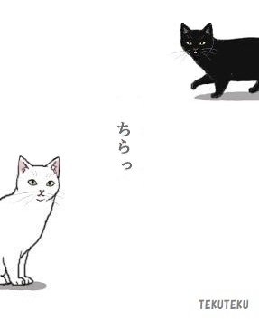 #猫好き #illustration #オリジナルイラスト 