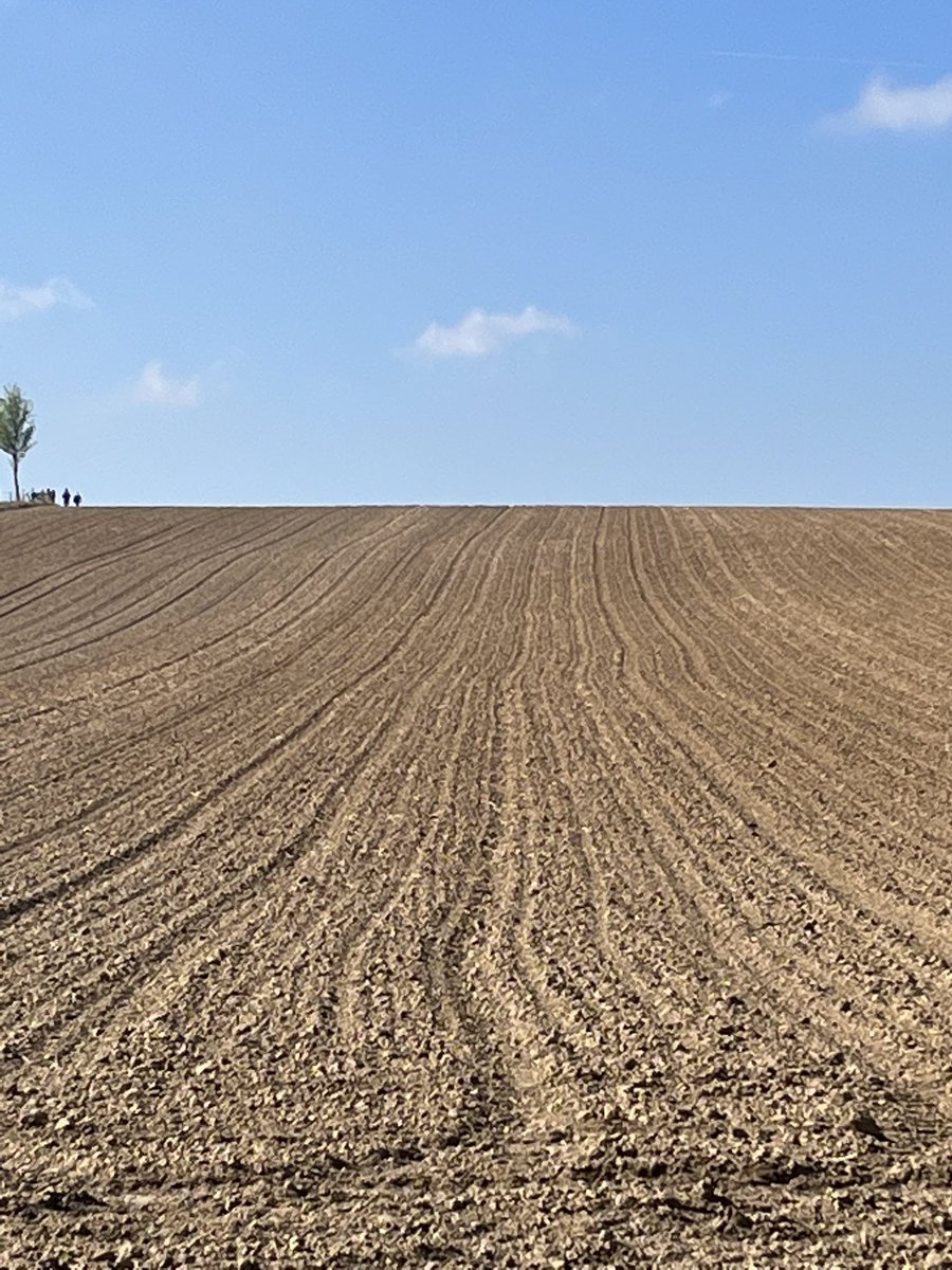 Henk Speksnijder (@dutchhenk) on Twitter photo 