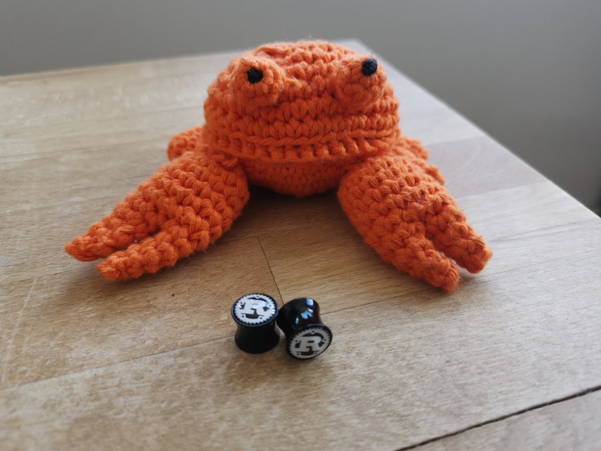 New earrings/tunnels arrived 👀🦀#rustlang