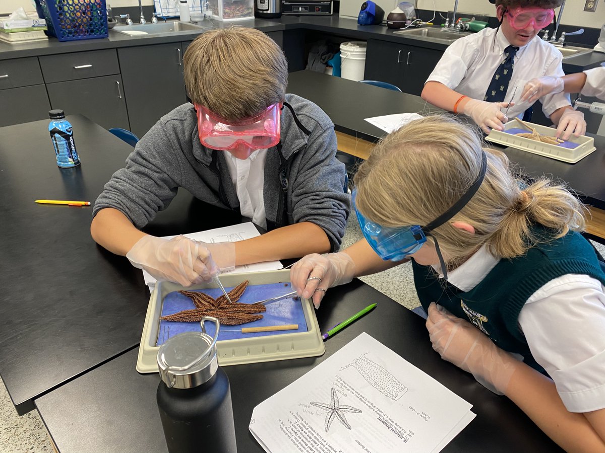 PinecrestAcadem's tweet image. Ms. Brown's college prep biology class is finishing up their unit on animal diversity by dissecting earthworms, starfish, and frogs. Says Ms. Brown, "I am quite impressed with their curiosity and eagerness to learn more!"  #biology #highschoolscience