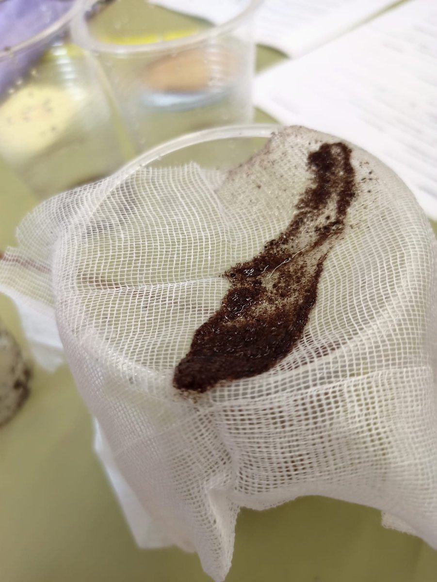 ceipcelsoemilio's tweet photo. Gracias a los experimentos que les han preparado sus teachers, en #sexto han podido probar distintas técnicas para separar mezclas: decantación, filtración, separación magnética... ¡Ha sido una pasada! #science #experiments #havingfunatschool #aprendenysedivierten #micolemola https://t.co/wIjtR30jAN