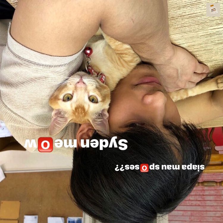 rep /delvote to delete mfs tweet media