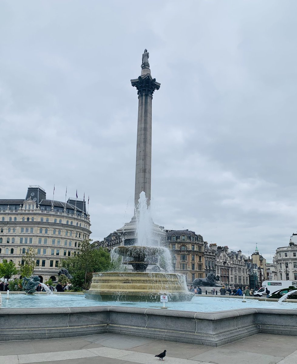 Got myself a nice ‘up-do’ whilst checking out the beautiful Trafalgar Square overnight garden after my drug dose.