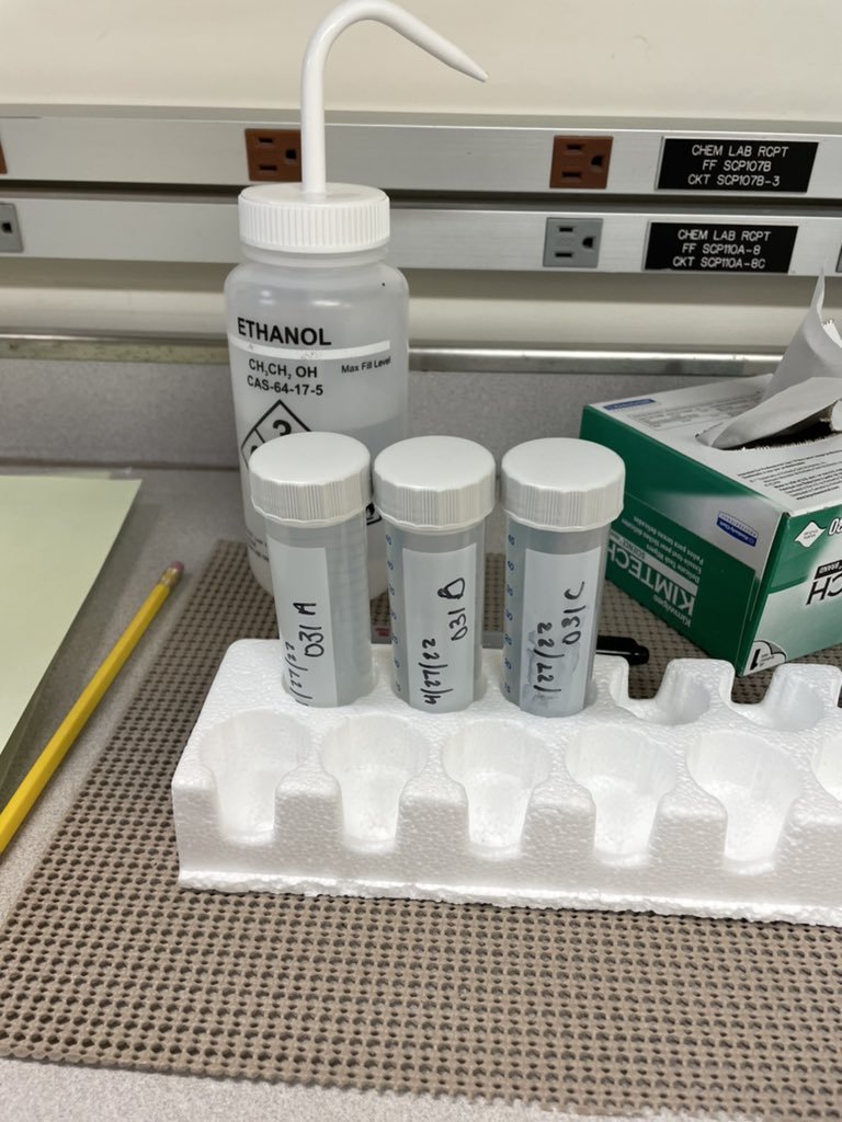 samengst's tweet image. First #eDNA sample of 2022 in the GoM on the NOAA Pisces! 😁🐟🐠🧬