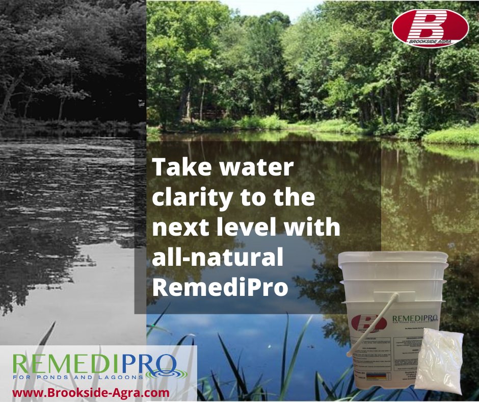 brookside_agra's tweet photo. RemediPro is a high-performance, all-natural product that safely degrades sludge build-up and improves water clarity in closed/slow-flow water systems such as ponds and lagoons. Easy-to-use water soluble packets make application easy! Order online today! https://t.co/zRQstfnMbk https://t.co/YQsik3lax8