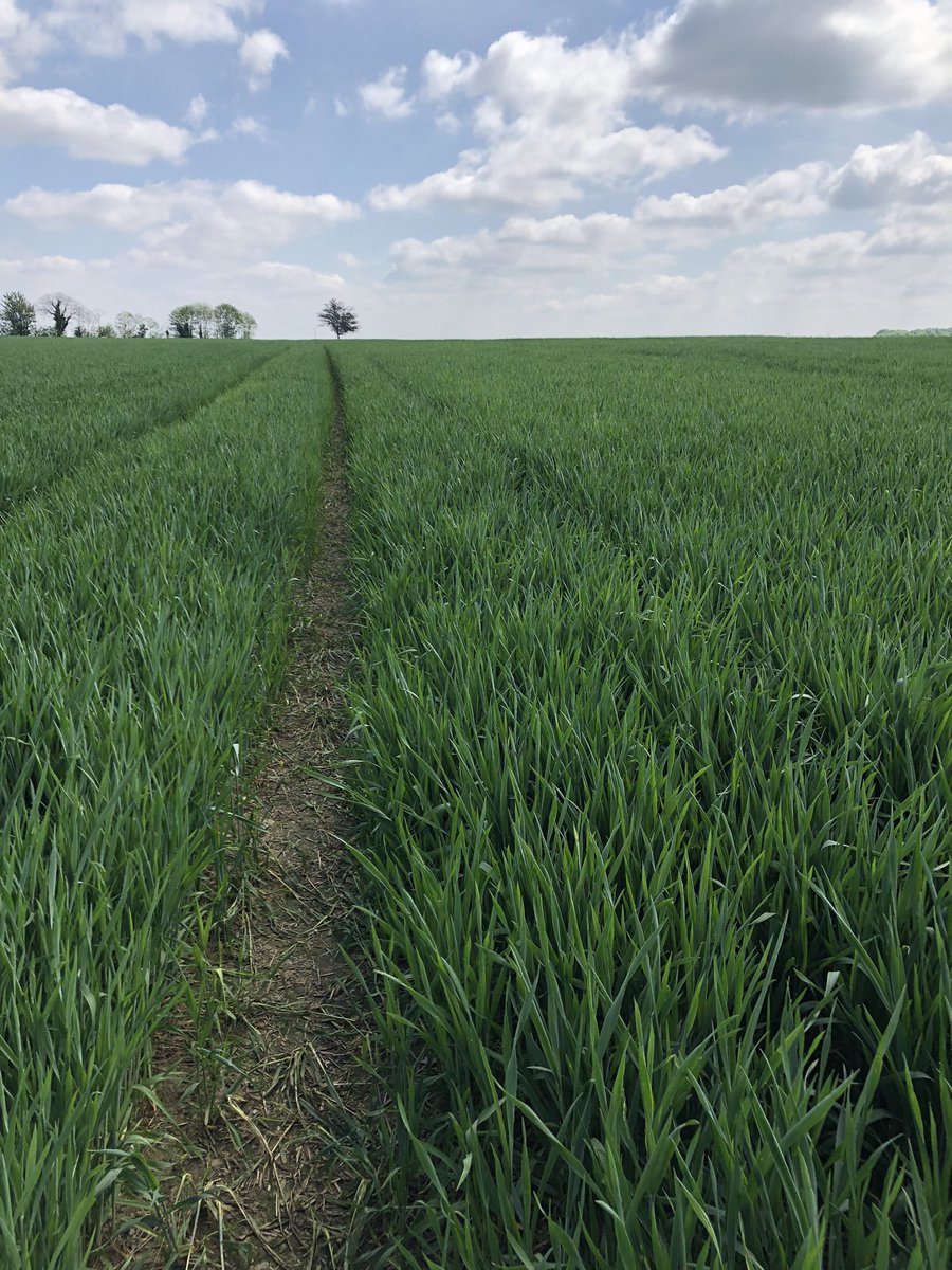 Aurélien tweet media