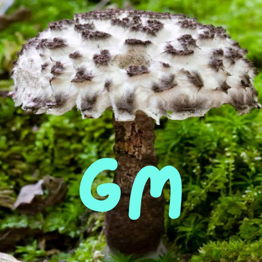 fung_fi's tweet photo. GM from Old Man of the Woods https://t.co/WH0mWTiOEh