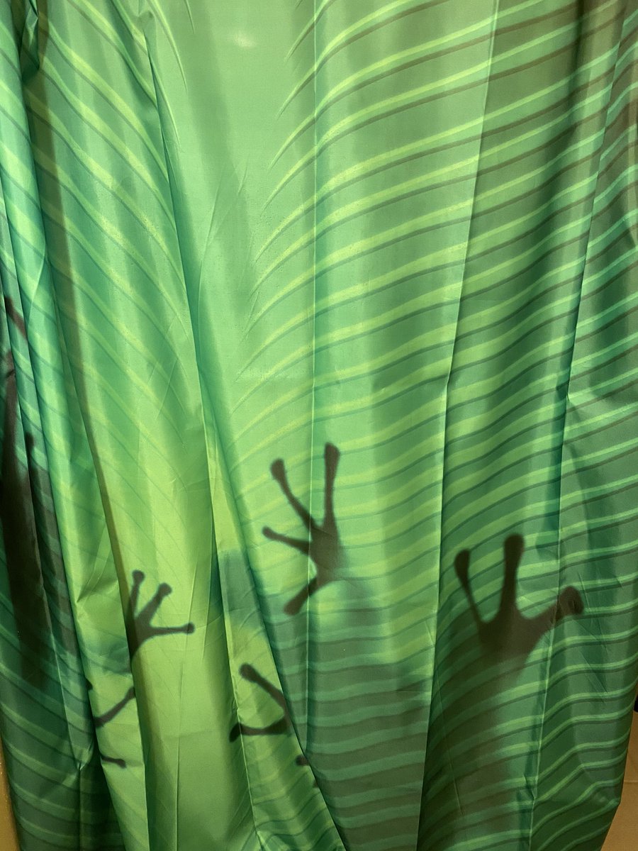EthanVanSciver's tweet photo. New shower curtain for the bathroom in my art studio.  #FrogsRule https://t.co/SU6UYNY1LW