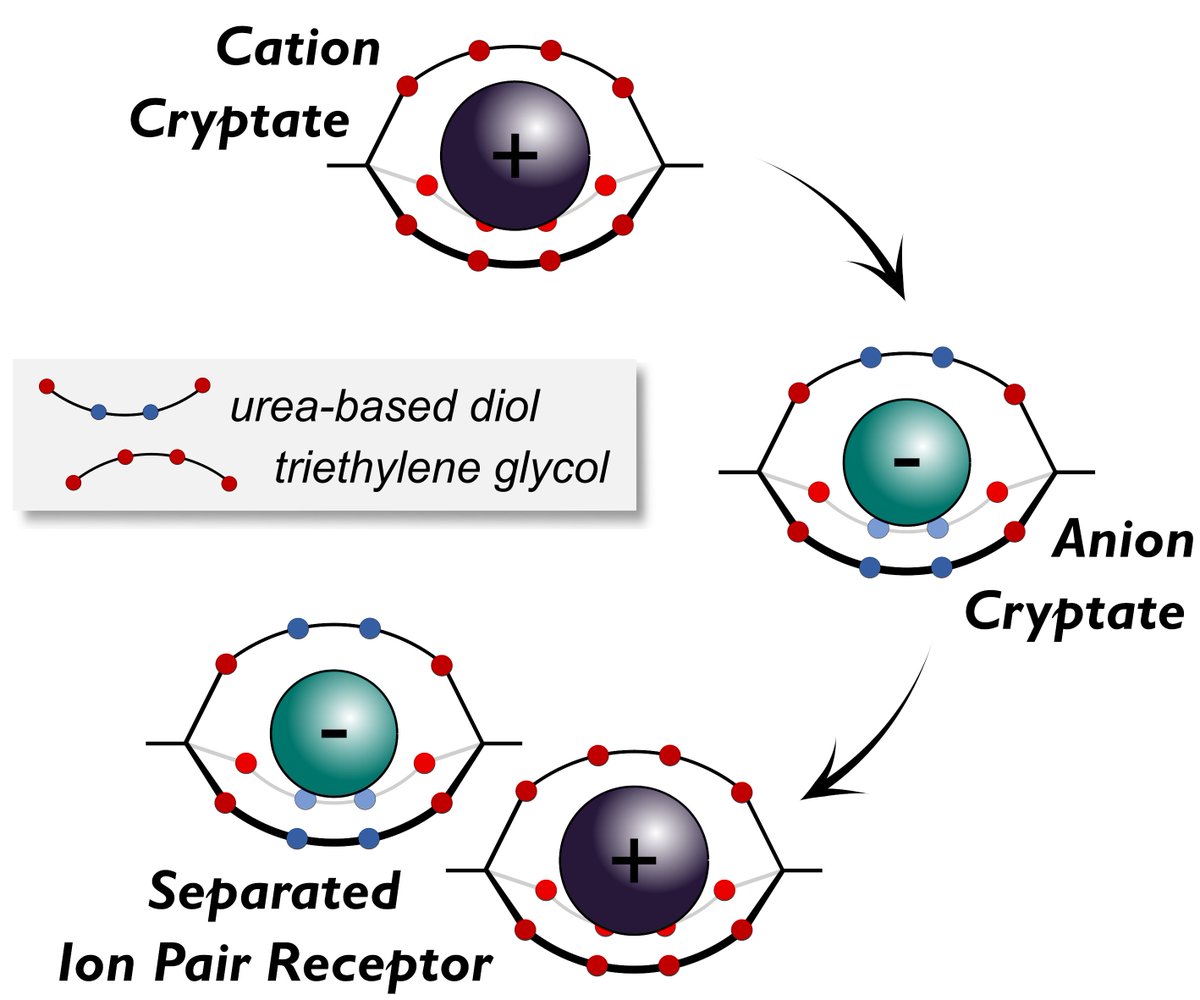 Delius Lab 🇪🇺🇺🇦 (@mvdelius) on Twitter photo Out in <a href="/angew_chem/">Angewandte Chemie</a>: <a href="/selina_hllstn/">Selina Hollstein</a> & Co. taking our self-assembled orthoester cryptands to the next level, i.e. from cations to anions and ion pairs (CsCl). MD by @ChristofJaeger, #openaccess, <a href="/ERC_Research/">European Research Council (ERC)</a>
onlinelibrary.wiley.com/doi/10.1002/an… Out in <a href="/angew_chem/">Angewandte Chemie</a>: <a href="/selina_hllstn/">Selina Hollstein</a> & Co. taking our self-assembled orthoester cryptands to the next level, i.e. from cations to anions and ion pairs (CsCl). MD by @ChristofJaeger, #openaccess, <a href="/ERC_Research/">European Research Council (ERC)</a>
onlinelibrary.wiley.com/doi/10.1002/an…