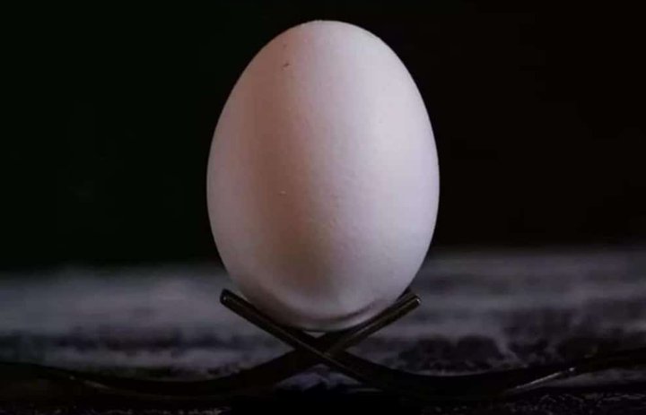 Bonny_Ndekezi's tweet photo. If an egg is broken by outside force #LifeEnds. But if broken by inside force #LifeBegins.
#Note: great things always begins from inside. https://t.co/EleV70FEOd