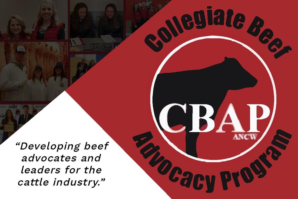 Applications are now being accepted for the ANCW Collegiate Beef Advocacy Program!  

DEADLING TO APPLY: July 15th 
APPLICATION: ancw.org/cbap
Collegiate Beef Advocates
#cbap #gitupinancw