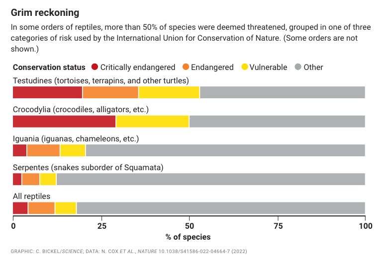 1/5 reptile species is at risk of extinction, new study finds: science.org/content/articl… by <a href="/erikstokstad/">Erik Stokstad</a> <a href="/cbickel27/">Chris Bickel</a>