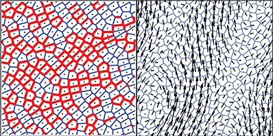 A minimal cell-based computational model demonstrates that fluid-like epithelial tissues become rigid above a critical applied strain, a process similar to shear-driven rigidity in other soft matter systems go.aps.org/3MDLFFj #biophysics