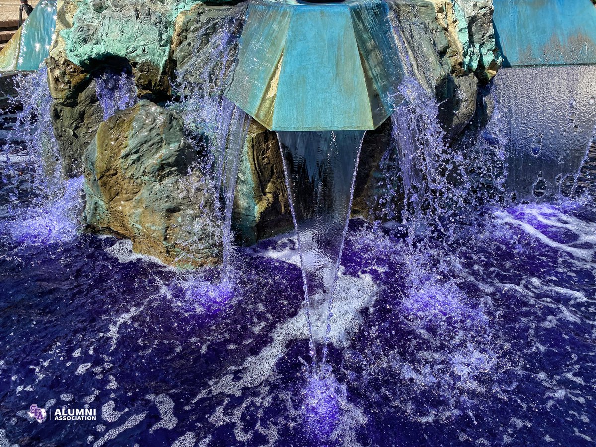 SFA Alumni tweet media