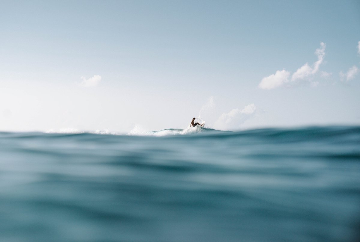 Surfrider's tweet photo. Protecting what we love, so we can enjoy it too. π Which beach / waterway do you call home? Quote Retweet this & let us know!
#ProtectAndEnjoy
πΈ: Sarah B Swan https://t.co/zA3l3kCM4T