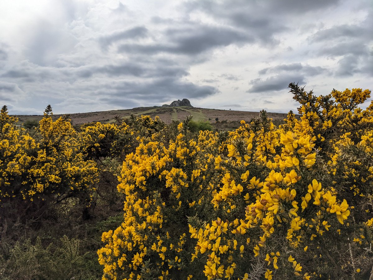 Astro_MiguelM's tweet photo. After very interesting talks for the past two and half days, and before more to come from tomorrow, splendid hike at #Dartmoor during @2022Sharpest with @astrokraus https://t.co/5r1Q6lg3gU