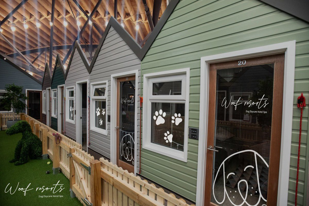ResortsWoof's tweet photo. The best place got your pup! NFT available for all benefits, like food or membership! https://t.co/gFNSlqKZkW