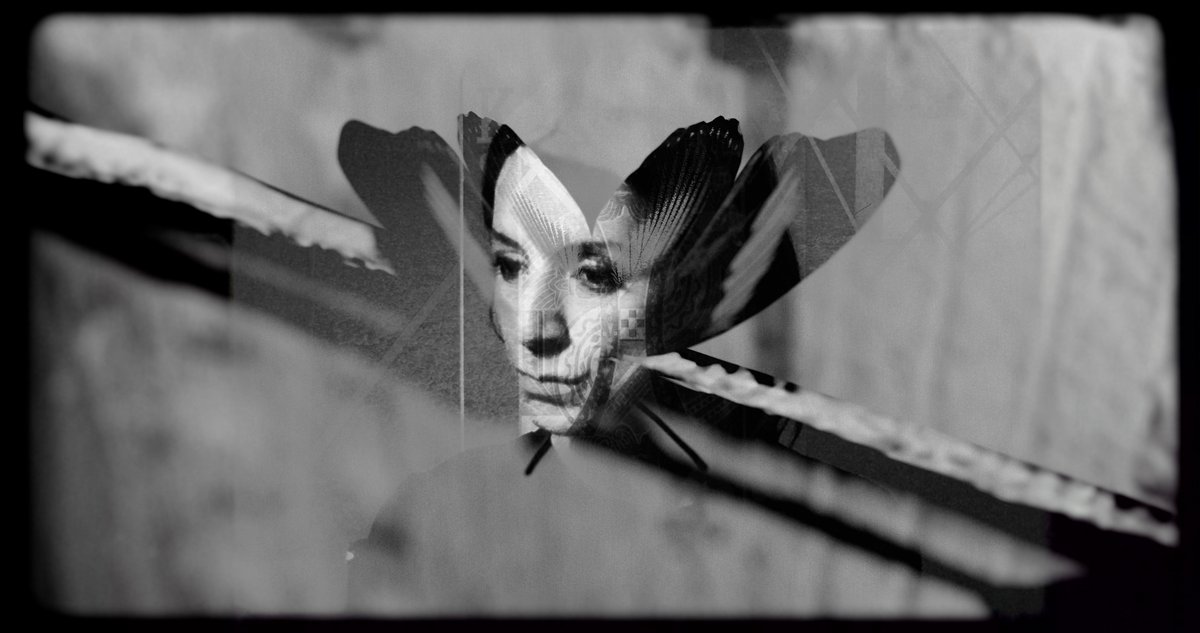 Thomas Hicks tweet media