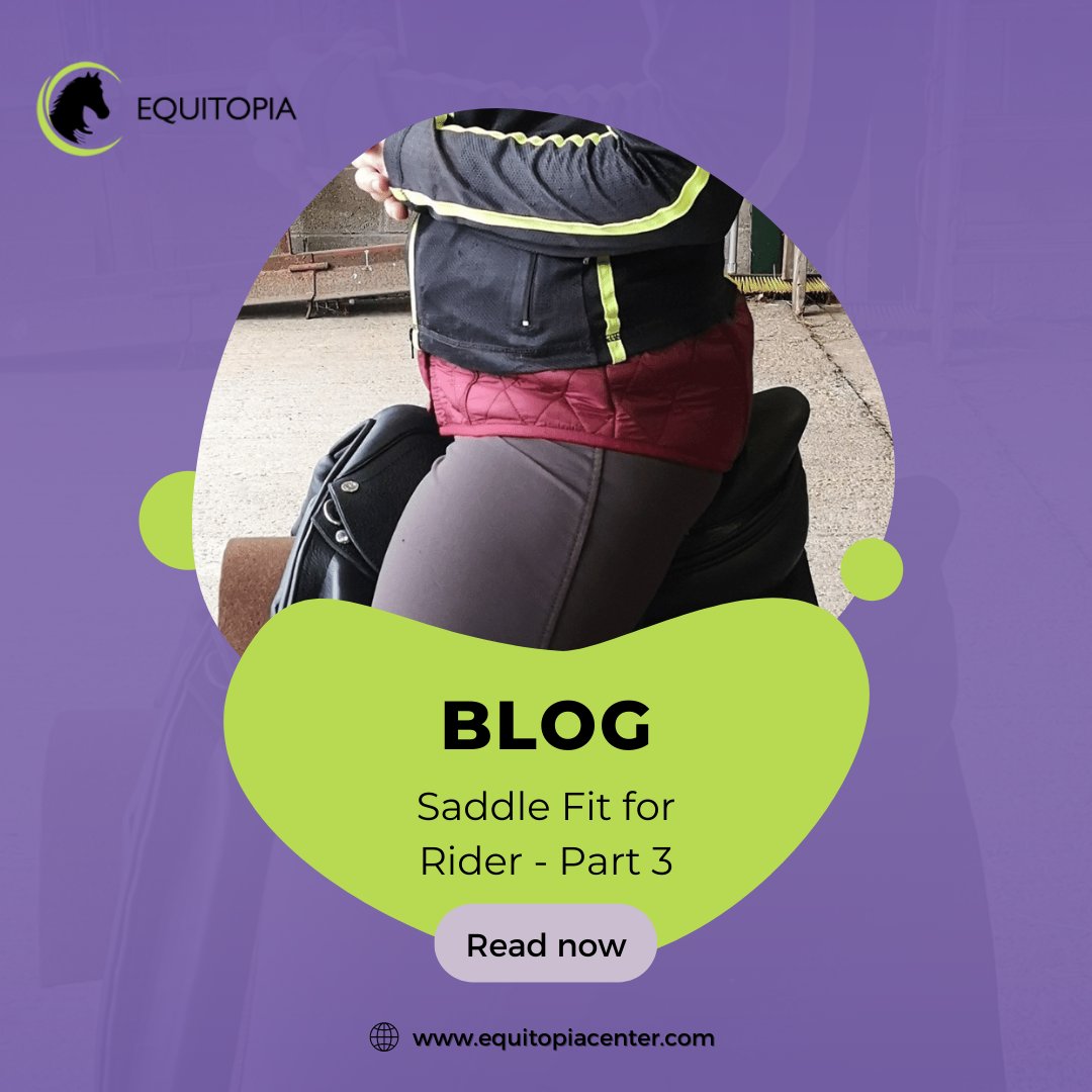 Equitopiacenter's tweet photo. These days we know so much more about saddle fit - so why are we still struggling to get it right for us and our horses? 🐴🐎  

Steph Bloom shares her knowledge in this first part of a 3-part blog on the subject: https://t.co/tuFahb5Lk4

#saddleandfit #horsetraining https://t.co/gR2H1RNcYE