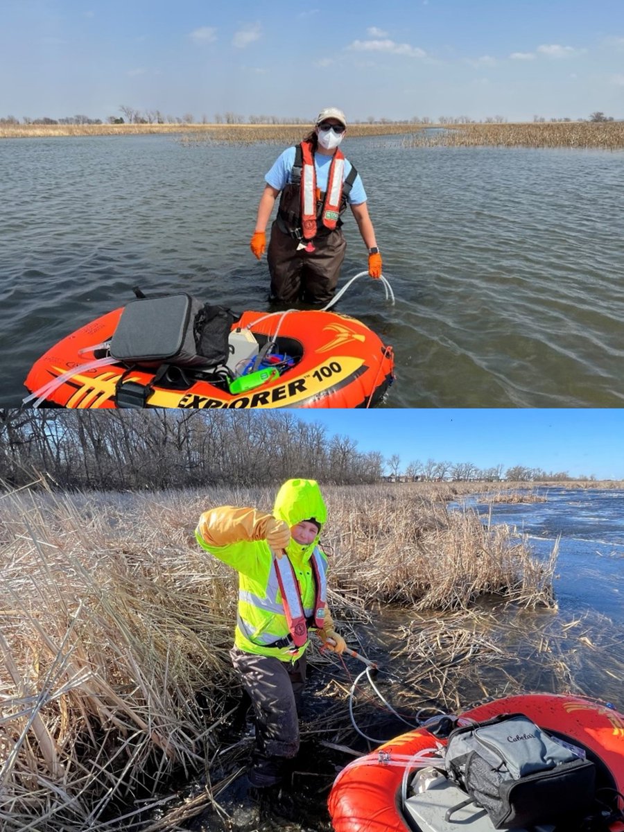 Is wild bird aquatic habitat a reservoir and source of avian influenza virus?

Scientists from <a href="/USGS_UMid/">USGS Upper Midwest Water Science Center</a>, <a href="/USGS_OKI/">USGS OKI - Ohio.Kentucky.Indiana</a>, @USGS_IA  and University of Georgia are working to answer this question and more.

#usgs #wildlifewednesday #avianflu #avianinfluenza #hydrology #microbiology