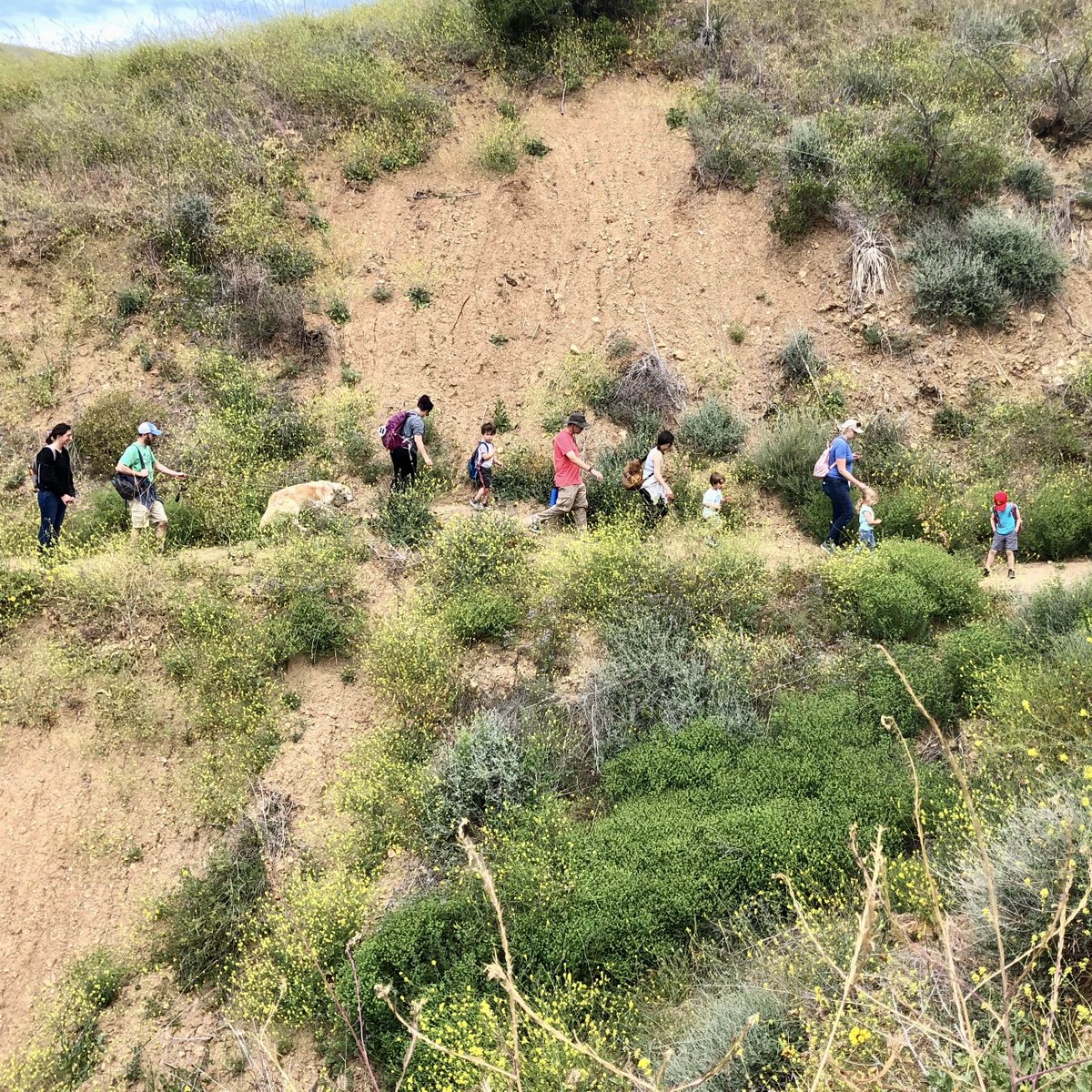 The friends went for a hike yesterday on an all-school field trip! We met small creatures and found new kinds of grass. We love finding new ways to learn and explore!

#LApreschool #LAparents #NowEnrolling