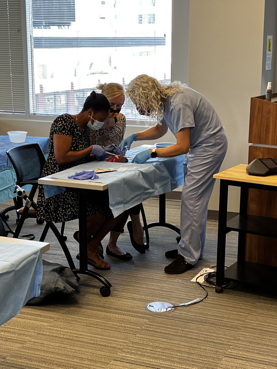 WashU_OBGYN's tweet photo. FPMRS Surgical Sim with our residents today - (obstetric anal injury repair model).
We love seeing everyone in action!
#SurgicalSim #surgery #medtwitter #obgyn https://t.co/CBRNXbLdpl