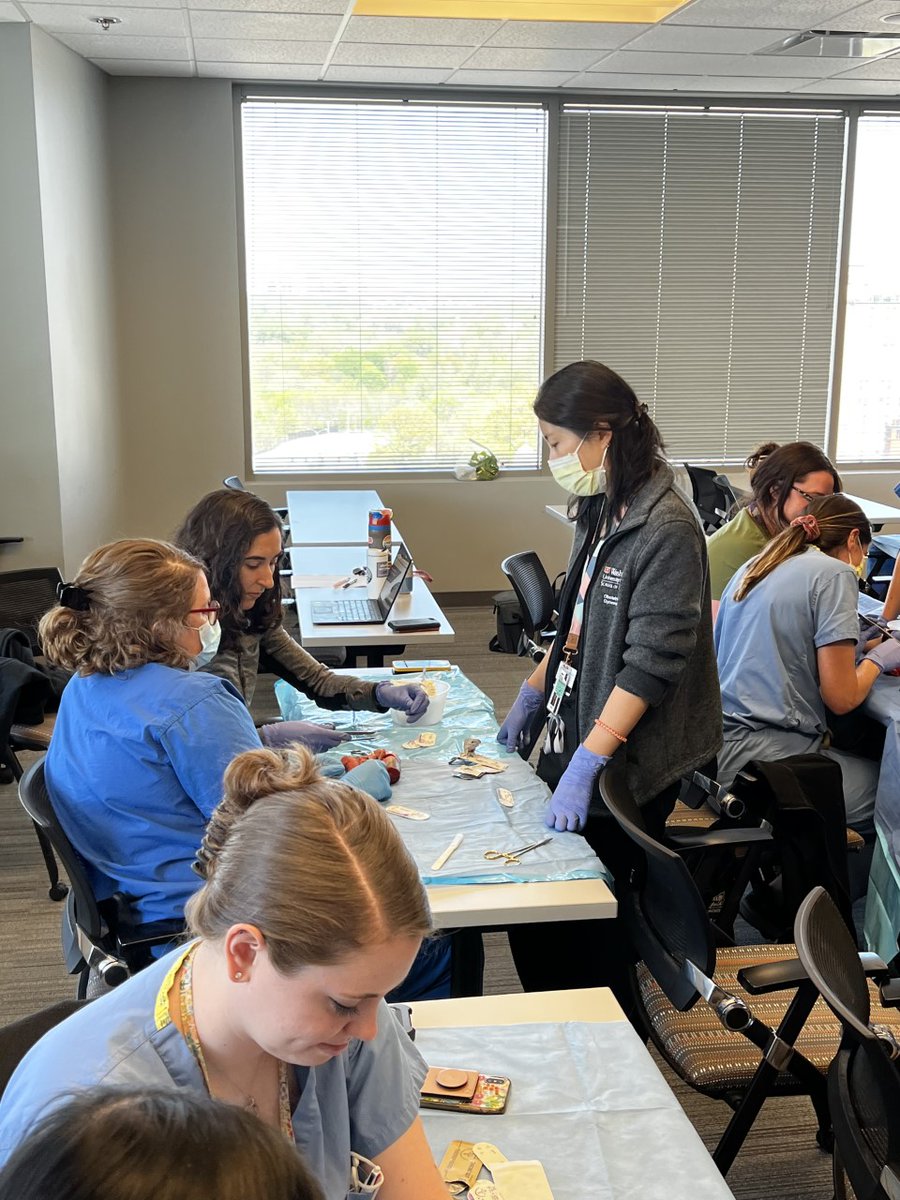 WashU_OBGYN's tweet photo. FPMRS Surgical Sim with our residents today - (obstetric anal injury repair model).
We love seeing everyone in action!
#SurgicalSim #surgery #medtwitter #obgyn https://t.co/CBRNXbLdpl