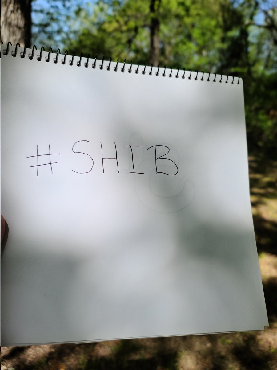 vwren2015's tweet photo. @davidgokhshtein I'm real! It's a beautiful day here in Eufaula, OK. 
Go #SHIBARAMY 
#SHIBARMYSTRONG https://t.co/u1q7T27rOy