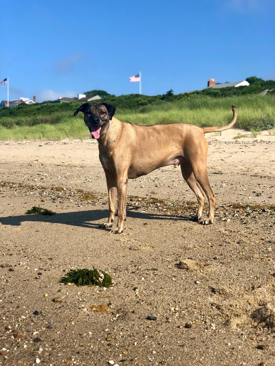 Scott Van Pelt tweet media