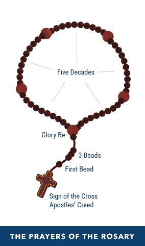 come say hi to ur mom! pray the rosary with us on campus today at 12:30 pm in front of the library. she would love to hear from you.