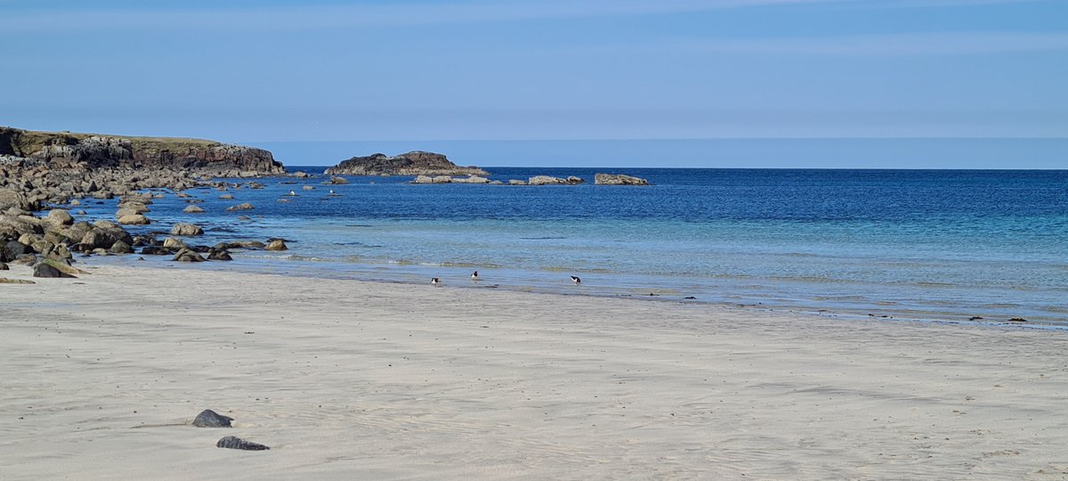 A beautiful afternoon on Shawbost Beach. 

@bbcweather @BBCAimsir @BBCScotWeather @IslesWeather 

#BBCWeather #BBCAimsir #TraighShiaboist #ShawbostBeach #IsleOfLewis #OuterHebrides