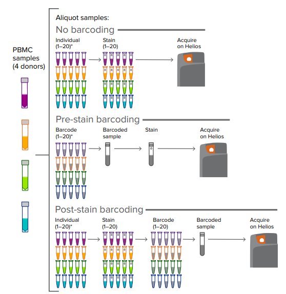 Standard_BioT's tweet photo. #Cellbarcoding maximizes #CyTOF utility by enabling #multiplexing for high-parameter #singlecellanalysis. Barcoded samples are stained together in a single tube, improving workflow, eliminating staining variability between samples and reducing reagent use.
https://t.co/wBIhzneFLj https://t.co/teWlYf63jq