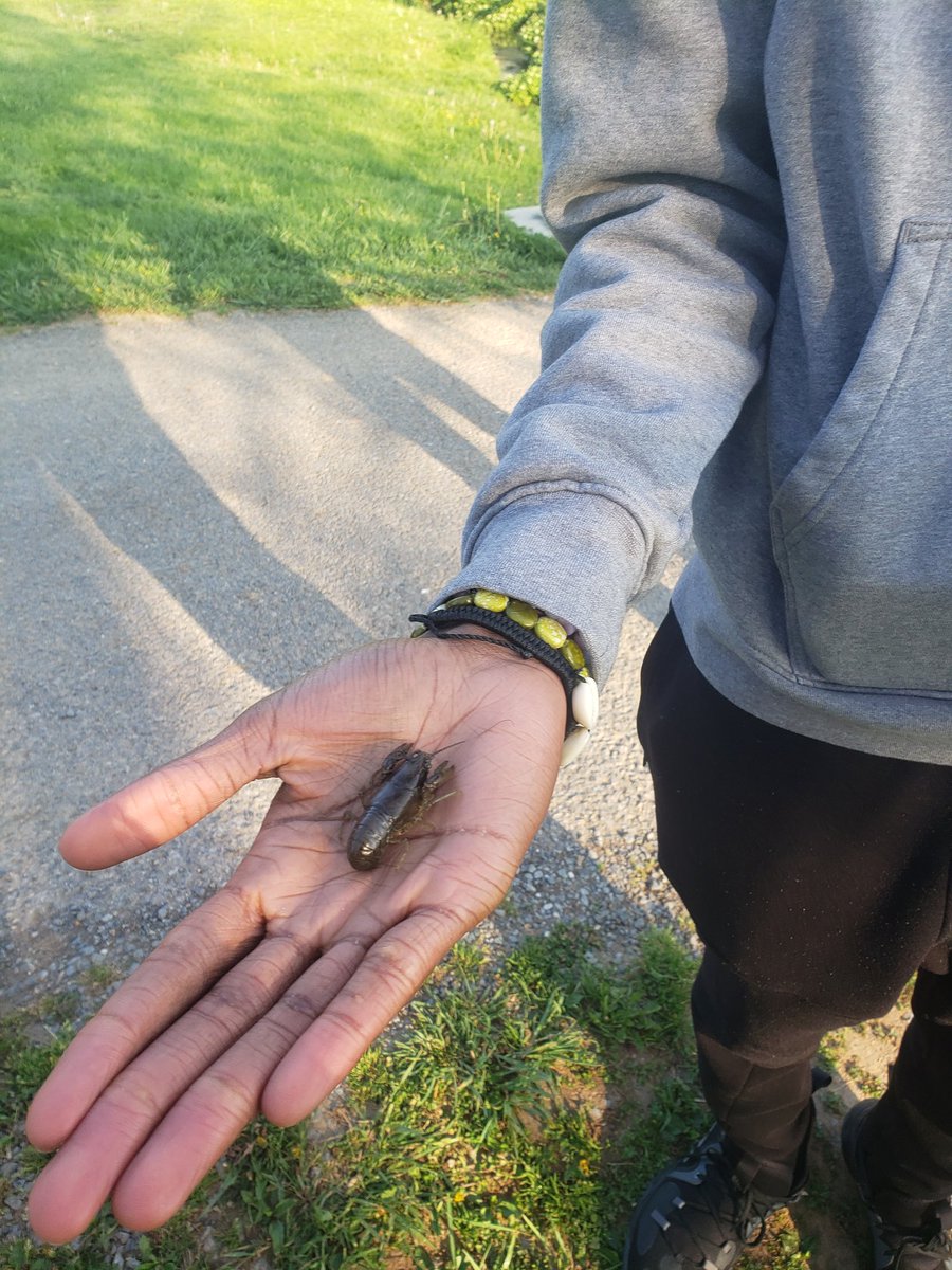 IveyScience's tweet photo. We found lots of biotic and abiotic features at the creek! #environmentalscience https://t.co/TT0jPAKqCV