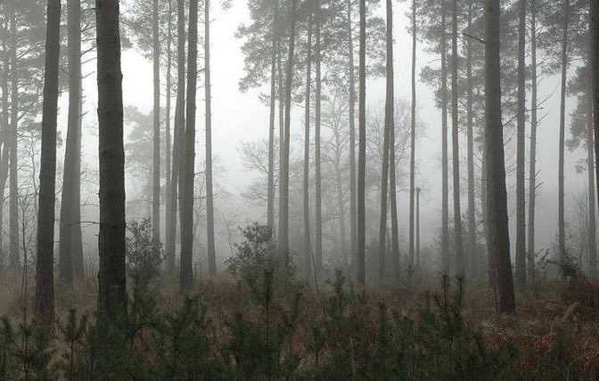 ThatLousyNick's tweet photo. Slow it down, they told her. Take it easy.
But Emma was an adventurer, you know?
So she #absquatulated.
Through forests of fears, over oceans of tears.
She'll find her rest someday, in some sun-drenched isle.
Maybe.
#turningthephrase #RosWW #MadVerse #XOPrompts #moonmystic https://t.co/h8xjyCw01Q