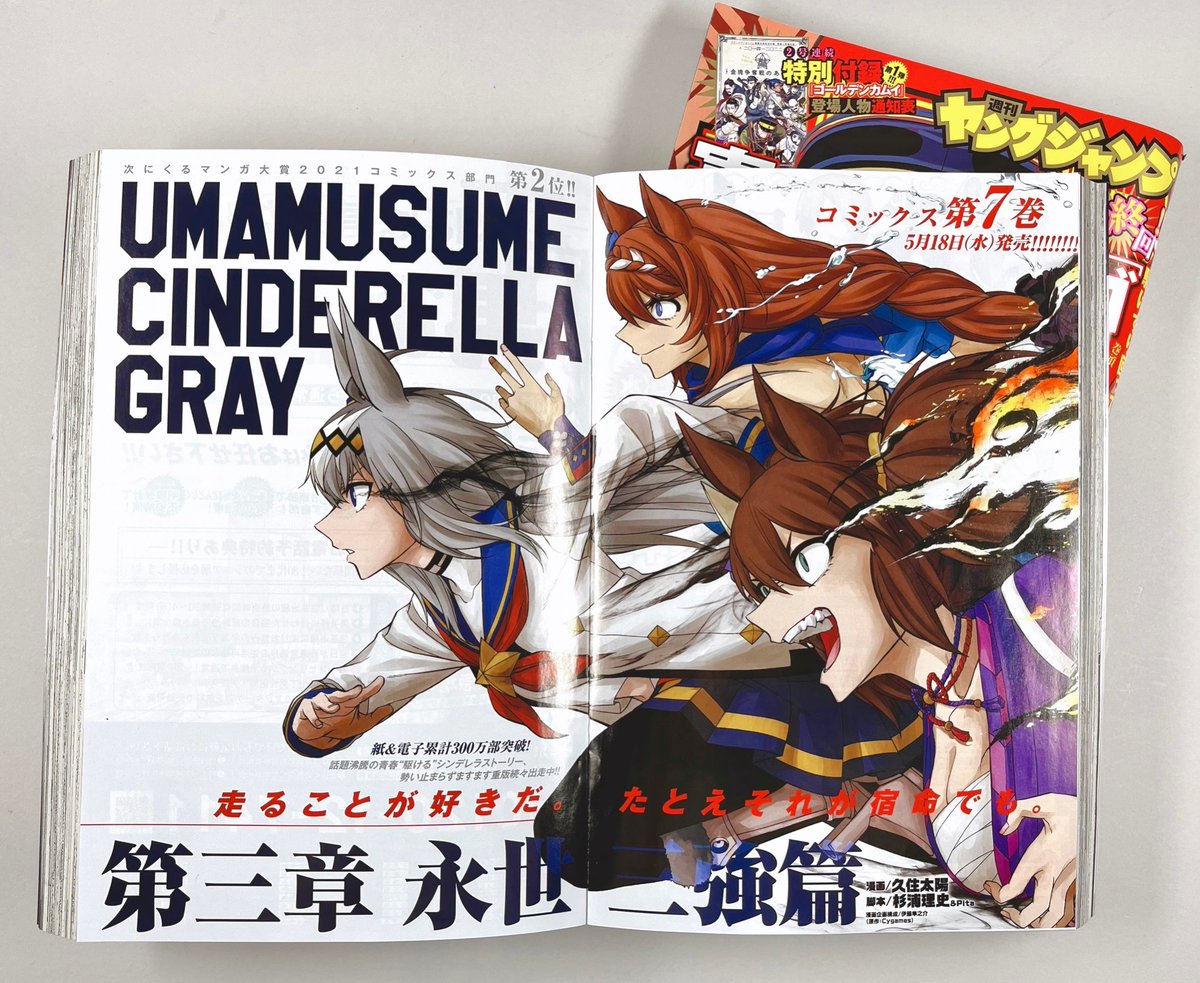 お見舞い ウマ娘シンデレラグレイ8巻発売記念 当選品 その他