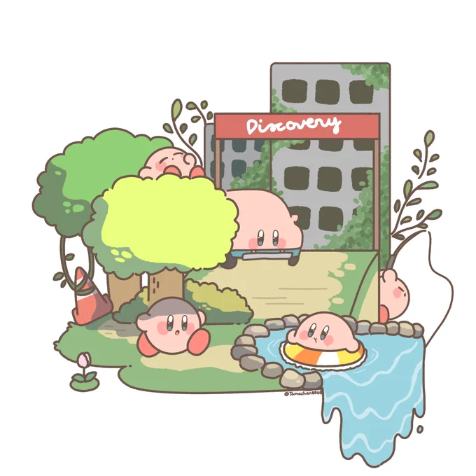 ディスカバリー🌟
(どっちの色合いが好きですか) 