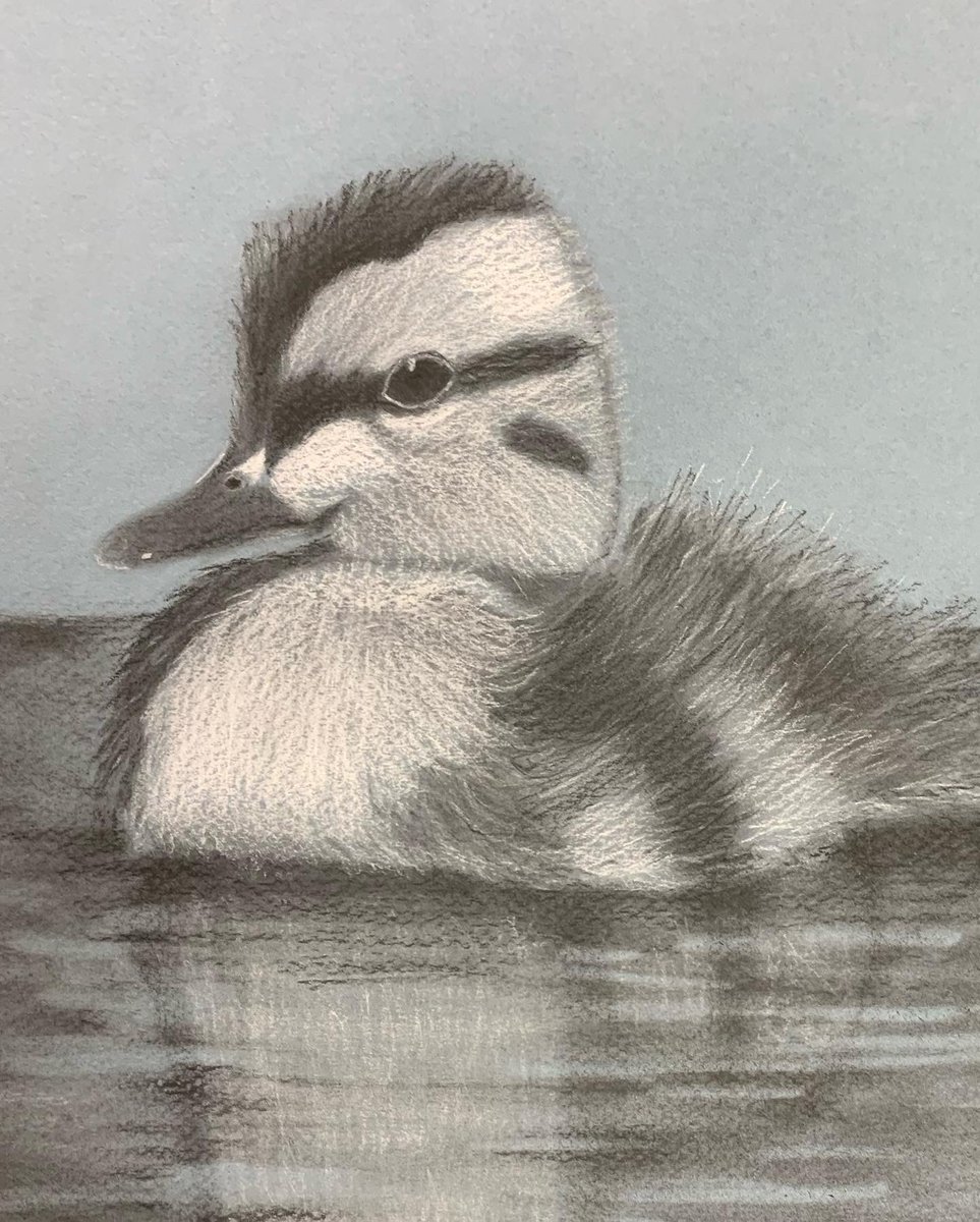 art_passmore's tweet photo. Drawing One students used the grid method and charcoal to create these heavily textured animal drawings. 1/2 https://t.co/lwb54g7NBu