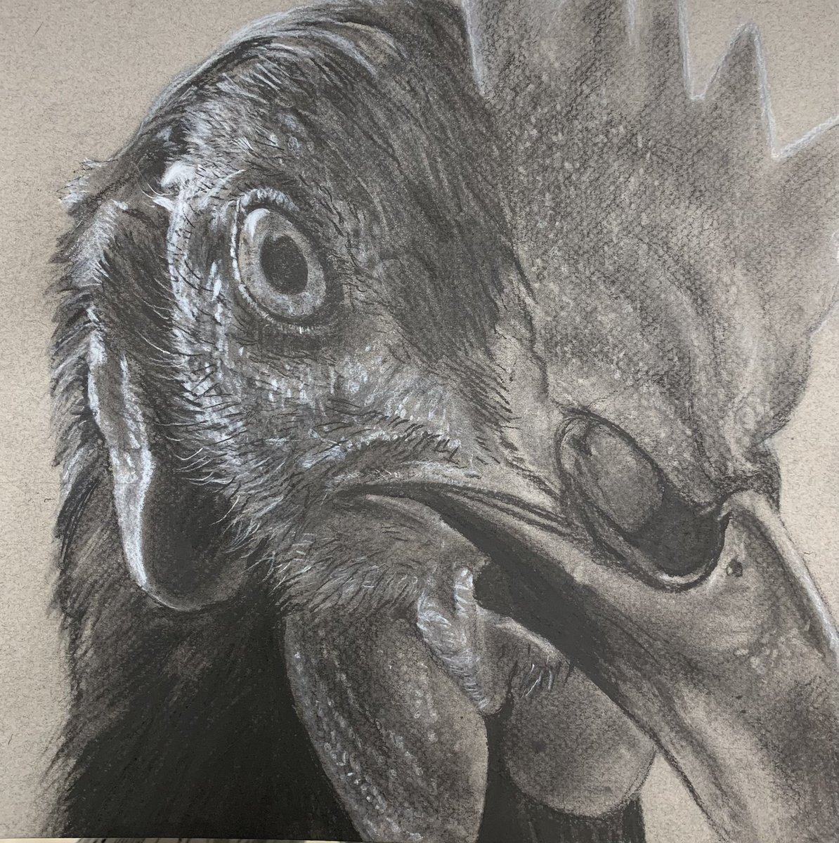 art_passmore's tweet photo. Drawing One students used the grid method and charcoal to create these heavily textured animal drawings. 2/2 https://t.co/zdMi8bTNCl
