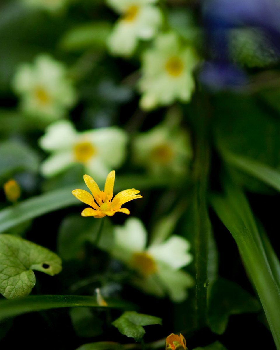 Barber's Cheesemakers tweet media