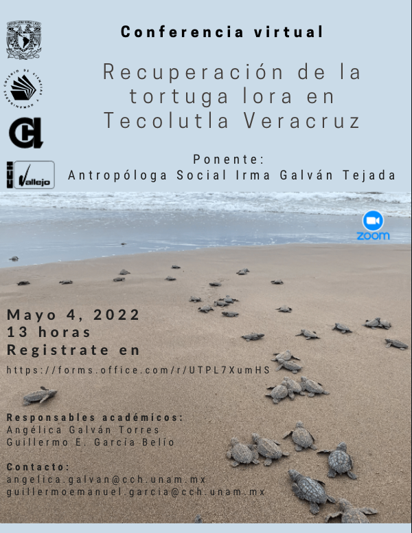 CCHUNAM's tweet photo. Conferencia Recuperación de la tortuga lora en Tecolutla Veracruz
4 de mayo, 13 horas.
Registrate en:

https://t.co/VOfvU7ecBV

@CCHAzcapoUNAM @pulsocchn @CCHVallejo_Ofi @CCHOte_UNAM @cchsur_oficial https://t.co/6oQRPLmihd