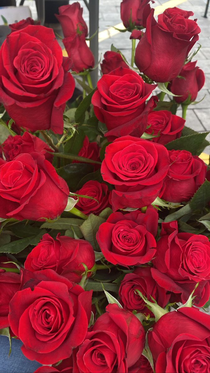 Video amb les activitats de Sant Jordi 2022🌹📚 youtube.com/watch?v=NwQxm7…