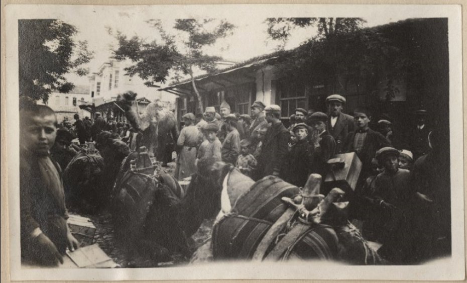 TheWWImuseum's tweet photo. A native camel train in Koritza, Albania. #WWI created new encounters among populations; Westerners with cameras snapped shots of lands with unfamiliar customs, food, environments and clothing – particularly Westerners on the Eastern or Middle Eastern Fronts. #HumpDay https://t.co/QD3fNMlWXN