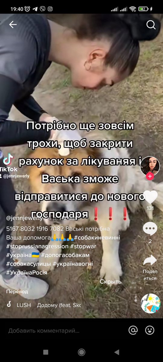 Потрібна допомога ‼️
до людей прибився поранений алабай, скоріш за все прийшов з якоїсь гарячої точки, бо поряд були сильні бої
якщо є можливість допоможіть трохи грошима, бо песика ще лікують +йому потрібен корм 
/а ще шукають нових господарів для красунчика!
5167 8032 1916 7082