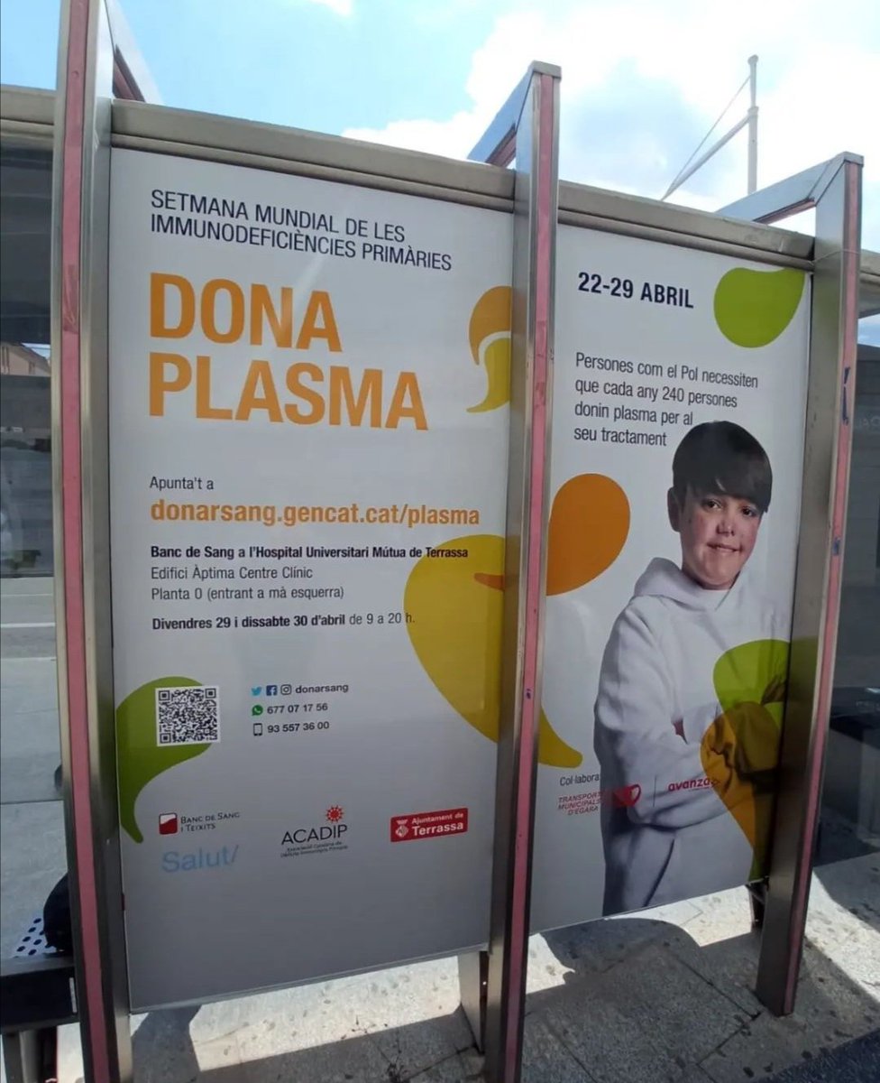 ACADIP (@acadip) on Twitter photo Aquesta #setmanamundialdelesimmunodeficiènciesprimàries hem sortit al Carrer. Els autobusos i marquesines de Terrassa llueixen el nostre missatge #donaplasma
Gràcies #donant, <a href="/tmesa_bus/">Transport Urbà de Terrassa</a> <a href="/ajterrassa/">Ajuntament de Terrassa</a> ,@publitesacomunicacio Aquesta #setmanamundialdelesimmunodeficiènciesprimàries hem sortit al Carrer. Els autobusos i marquesines de Terrassa llueixen el nostre missatge #donaplasma
Gràcies #donant, <a href="/tmesa_bus/">Transport Urbà de Terrassa</a> <a href="/ajterrassa/">Ajuntament de Terrassa</a> ,@publitesacomunicacio