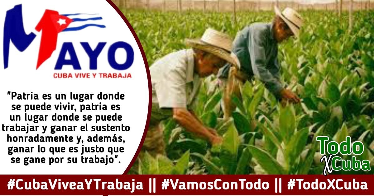 PepeChe12's tweet photo. El pueblo junto deslifara en plazas para demostrar el apoyo a la #RevolucionCubana #VamosConTodo https://t.co/iTGAK38btf