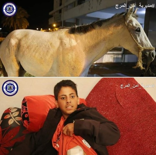 A stray horse in the eastern town of Marij has attacked a boy leaving him with severe wounds that resulted in liver resection